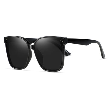 Magnetic Sunglasses 1055